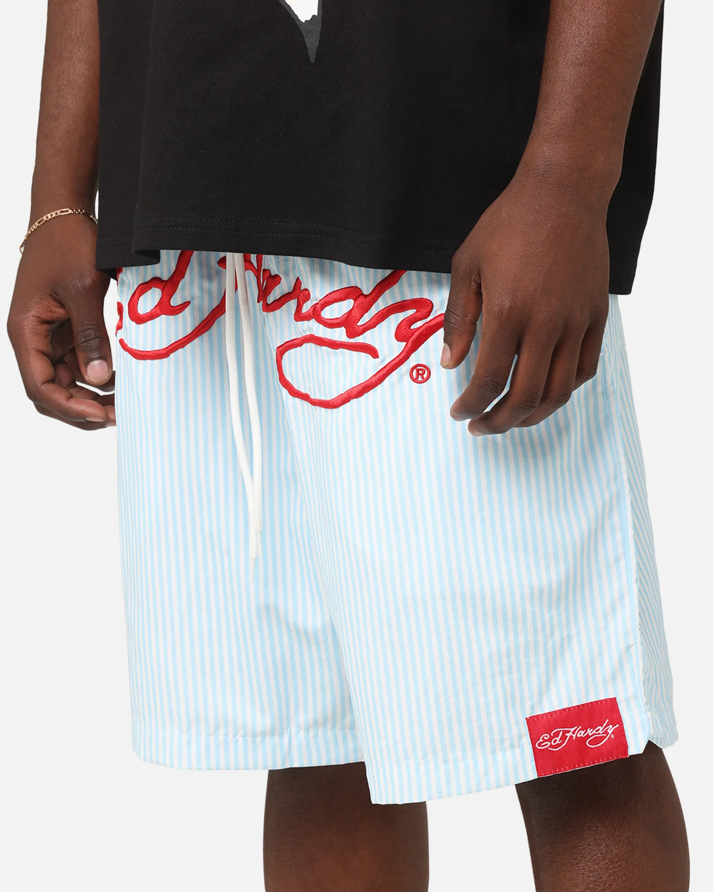 Ed Hardy Beach Shorts Blue Stripe - Image 4