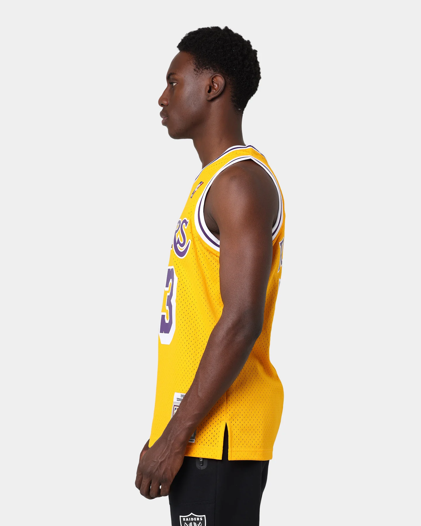 Mitchell & Ness Los Angeles Lakers Dennis Rodman #73 '98 -'99 Home Jersey Gold - Image 10