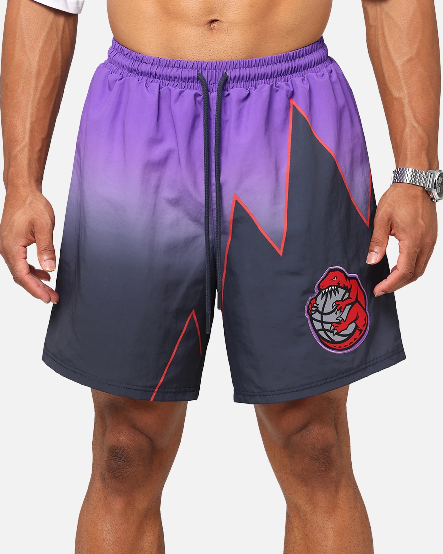Mitchell & Ness Toronto Raptors 30 Year Shorts Black/Purple - Image 7