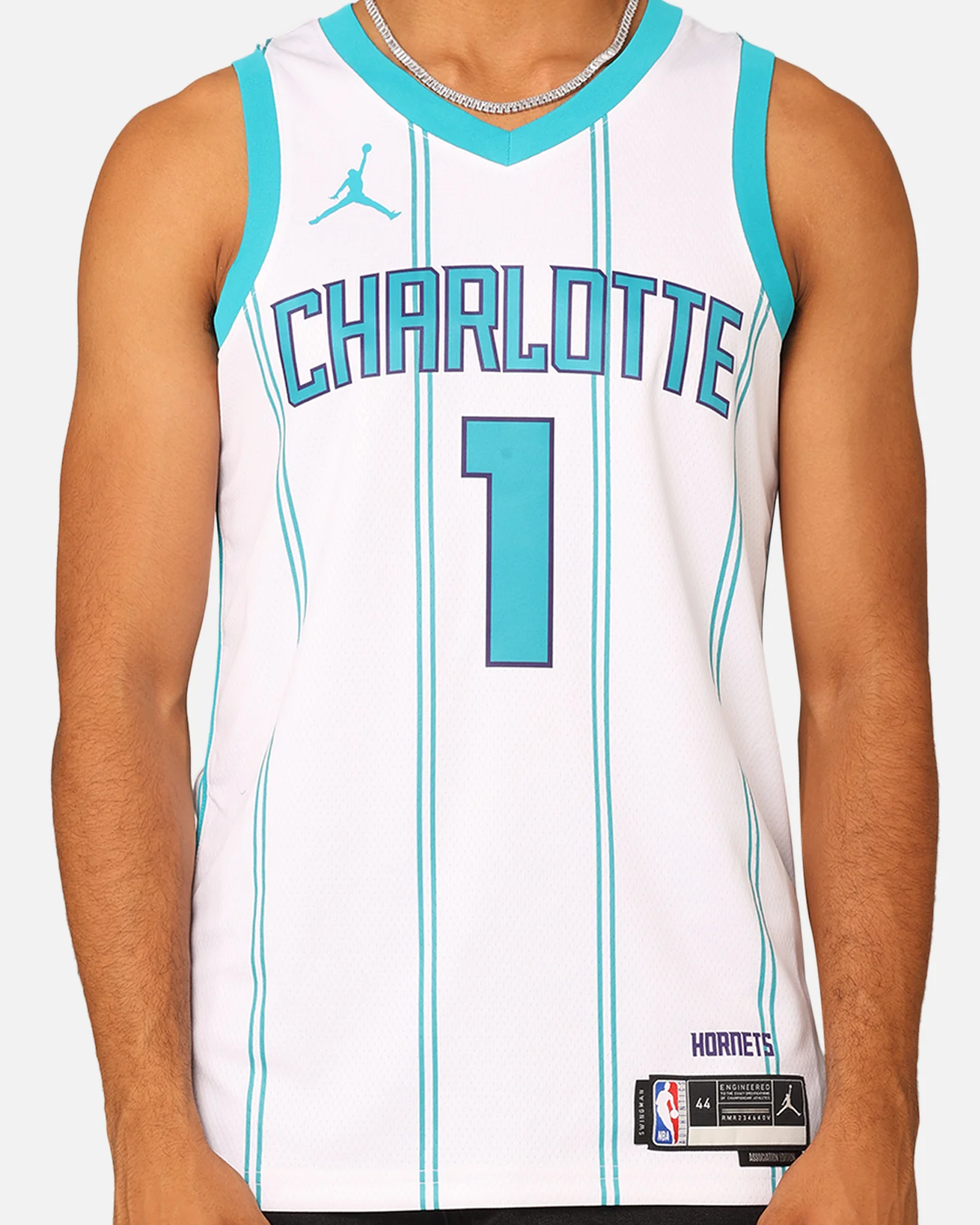 Nike Charlotte Hornets Lamelo Ball Association Edition 2022/23 Dri-FIT Swingman Jersey White - Image 4