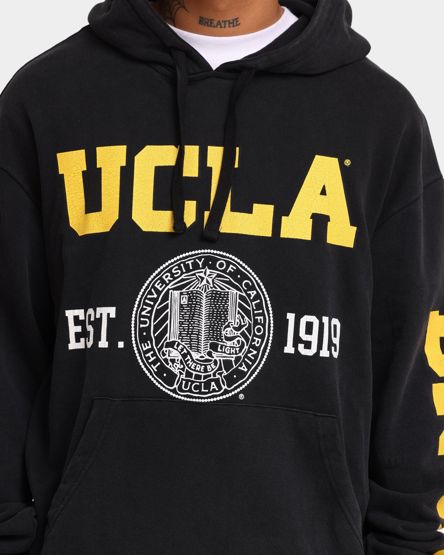 UCLA UCLA 1919 Shield Vintage Hoodie Washed Black - Image 3